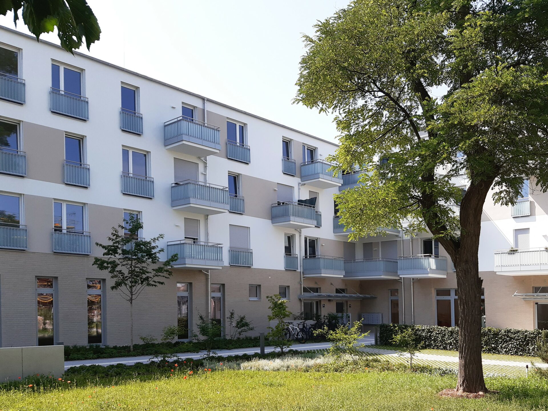 20220621_154211e-zuschnitt